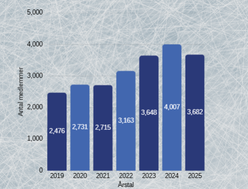 Skærmbillede 2026-03-27 152544