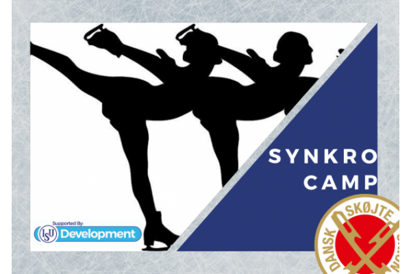Synkro camp vol. 3
